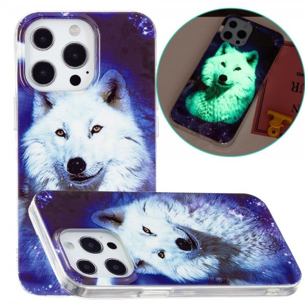 iPhone 15 Pro Cover Motiv Polarulv