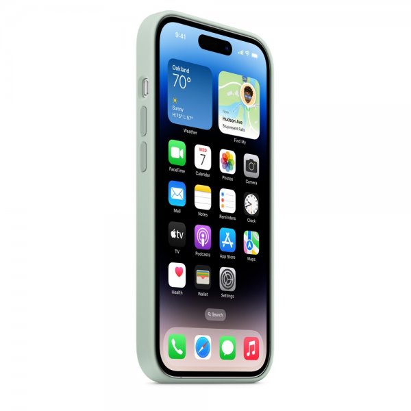 Apple Original iPhone 14 Pro Max Cover Silikoneetui MagSafe Sukkulent