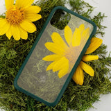 Pela iPhone 11 Pro Cover Miljøvenlig Klar Grøn
