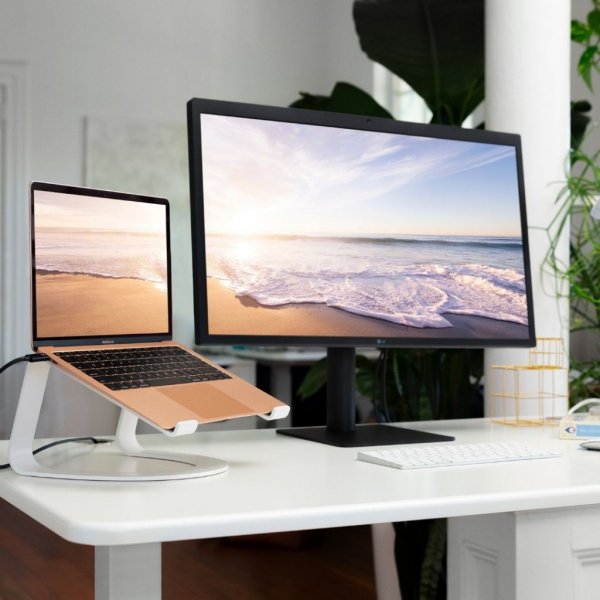 Twelve South Curve SE MacBook/Laptopstativ Hvid