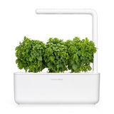 Click and Grow Smart Garden Refill 3-pak - Finbladet Basilikum