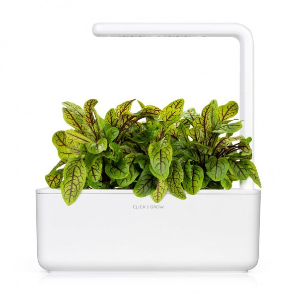 Click and Grow Smart Garden Refill 3-pak - Skovsyre