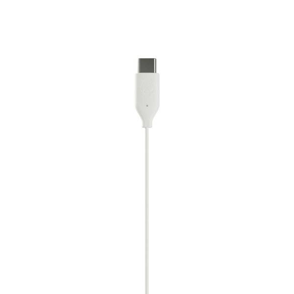 Skullcandy Kablede Høretelefoner JIB USB-C Bone White