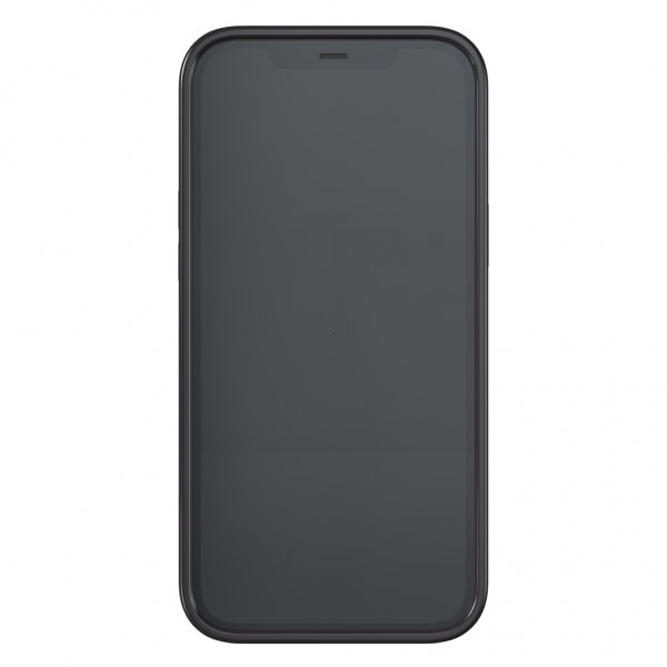 Richmond & Finch iPhone 12 Pro Max Cover Black Marble