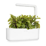 Click and Grow Smart Garden Refill 3-pak - Skovsyre