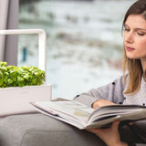 Click and Grow Smart Garden 3 Startpakke - Hvid