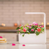 Click and Grow Smart Garden 3 Startpakke - Hvid