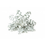Click and Grow Smart Garden Refill 3-pak - Sølv-eg