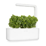Click and Grow Smart Garden Refill 3-pak - Finbladet Basilikum