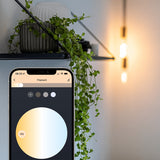 Lite bulb moments White Ambience E27 Filamentpære