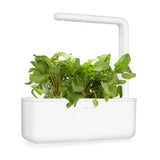 Click and Grow Smart Garden Refill 3-pak - Engsyre