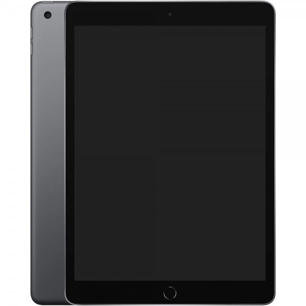 Begagnad Apple iPad 10.2 (gen 7) Grå 32GB Nyskick