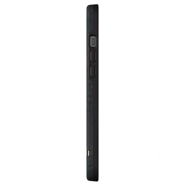 Richmond & Finch iPhone 12 Pro Max Cover Black Tiger