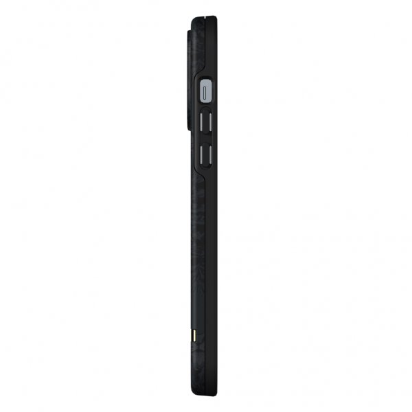 Richmond & Finch iPhone 13 Pro Max Cover Black Tiger