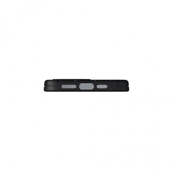 Richmond & Finch iPhone 13 Pro Max Cover Black Tiger