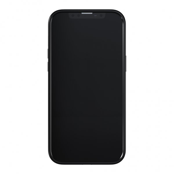 Richmond & Finch iPhone 13 Pro Max Cover Emerald Zebra