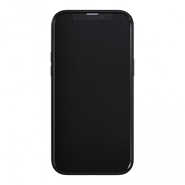 Richmond & Finch iPhone 13 Pro Max Cover Golden Jungle