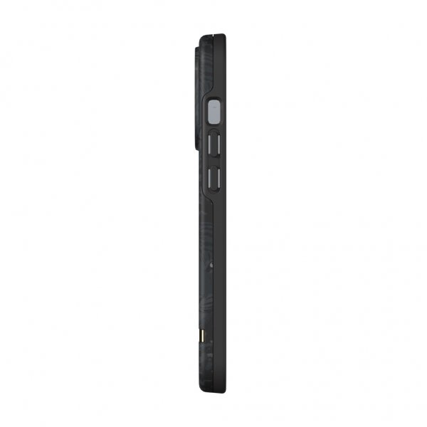 Richmond & Finch iPhone 13 Pro Cover Black Tiger