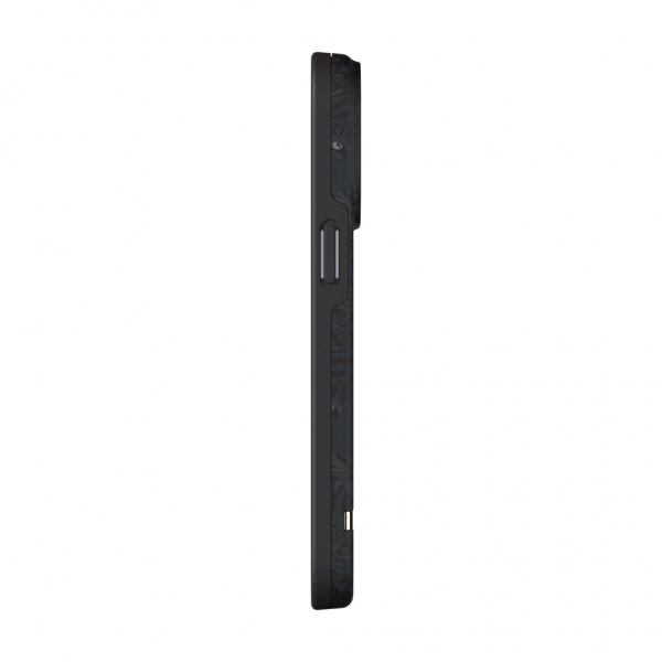 Richmond & Finch iPhone 13 Pro Cover Black Tiger