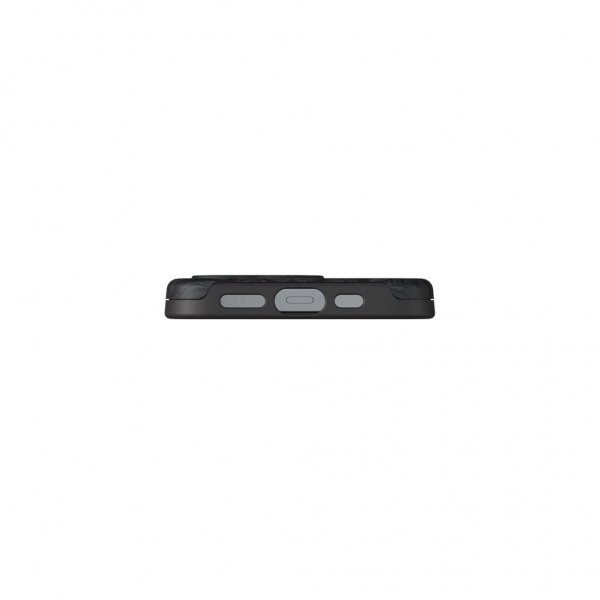 Richmond & Finch iPhone 13 Pro Cover Black Tiger