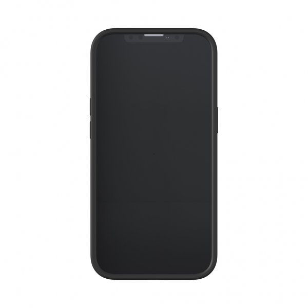 Richmond & Finch iPhone 13 Pro Cover Black Tiger