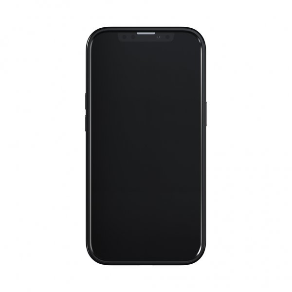 Richmond & Finch iPhone 13 Cover Emerald Zebra