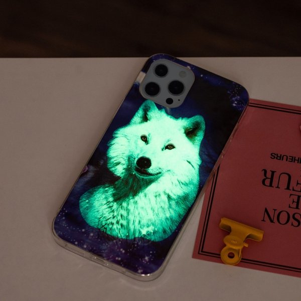 iPhone 15 Pro Max Cover Motiv Polarræv