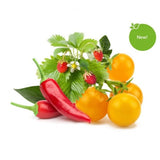 Click and Grow Smart Garden Refill 9-pak Frugt- og grøntsagsmix