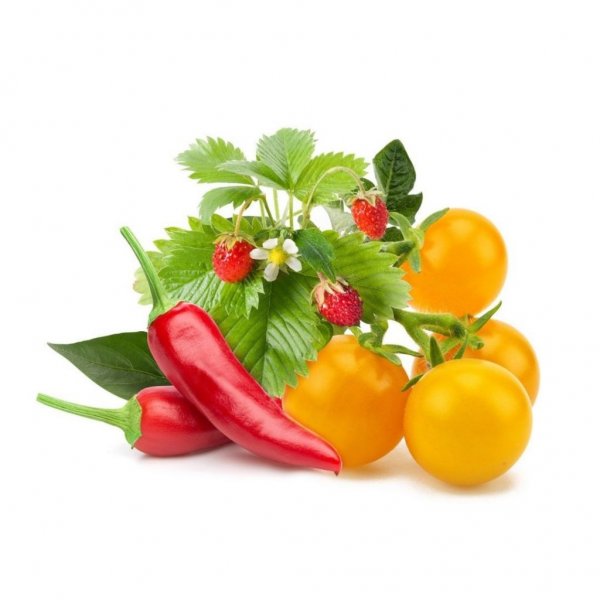 Click and Grow Smart Garden Refill 9-pak Frugt- og grøntsagsmix
