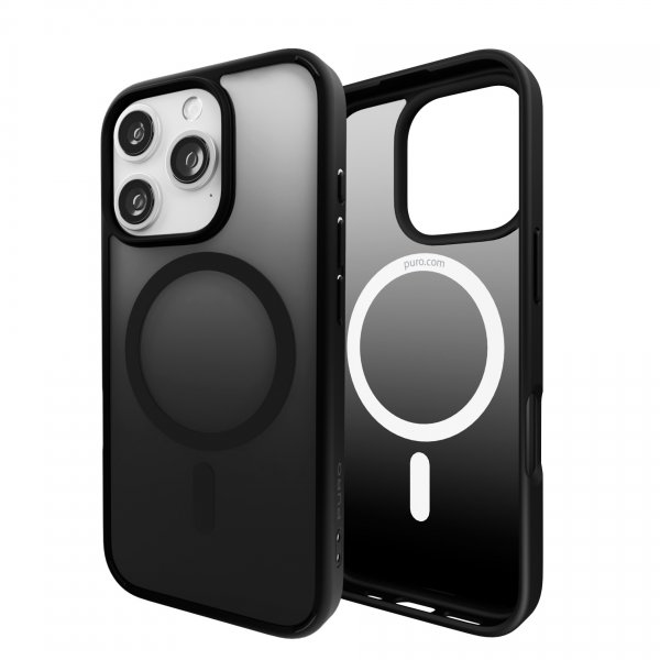 Puro iPhone 16 Pro Cover Gradient Sort
