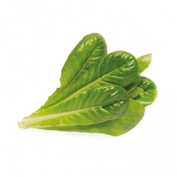 Click and Grow Smart Garden Refill 3-pak – Romainesalat
