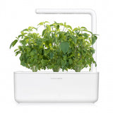 Click and Grow Smart Garden Refill 3-pak - Thai basilikum