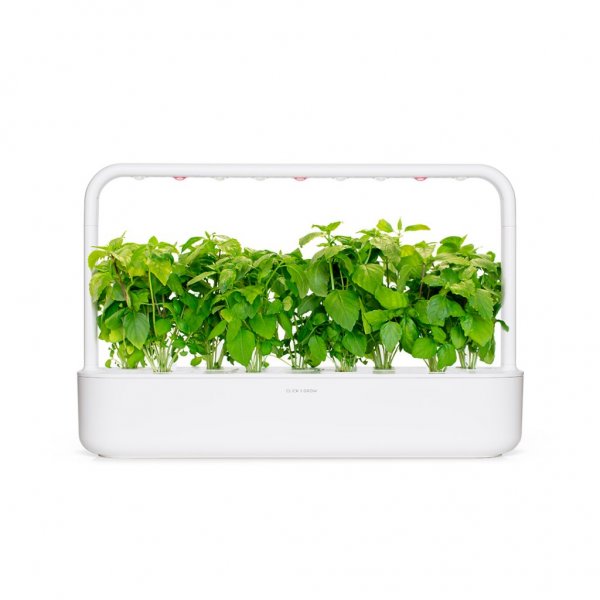 Click and Grow Smart Garden Refill 3-pak - Kanelbasilikum