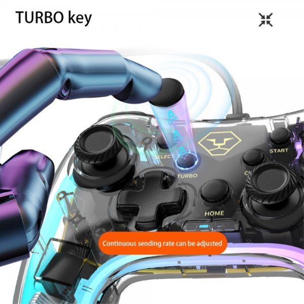 Aolion Klar Spilkontrol Nintendo Switch/PC Kablet RGB