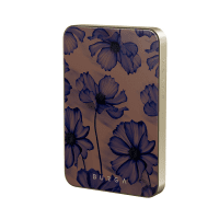 Powerbank MagSafe 5000 mAh Velvet Night Guld