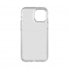 iPhone 12 Pro Max Cover Evo Clear