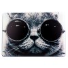 MacBook Pro 13 Touch Bar (A1706 A1708 A1989 A2159) Cover Hård Plastikik Cool Katt med Solglasögon