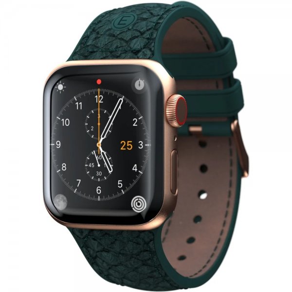 Apple Watch 38/40/41mm Armbånd Salmon Series Grøn