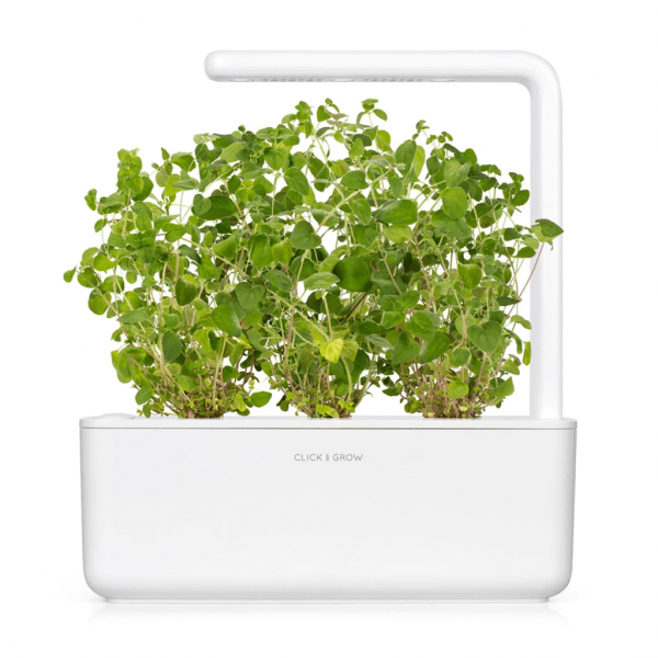 Smart Garden Refill 3-pakke - Oregano
